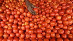 Tomato Prices: ਇਸ ਸ਼ਹਿਰ 'ਚ ਟਮਾਟਰ ਦੀ ਉੱਚੀ ਕੀਮਤ ਤੋਂ ਮਿਲੀ ਰਾਹਤ, ਸਰਕਾਰ ਨੇ ਸ਼ੁਰੂ ਕੀਤੀ 60 ਰੁਪਏ ਪ੍ਰਤੀ ਕਿਲੋ ਦੇ ਹਿਸਾਬ ਨਾਲ ਵਿਕਰੀ
