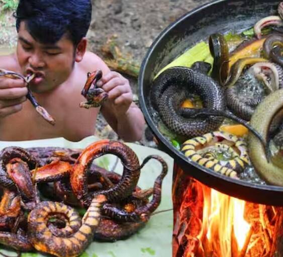 ਪਰ ਹੁਣ ਲੋਕ ਪ੍ਰੋਟੀਨ ਲਈ ਸੱਪ ਵੀ ਖਾਣ ਲੱਗ ਪਏ ਹਨ। ਤੁਹਾਨੂੰ ਇਹ ਸੁਣ ਕੇ ਅਜੀਬ ਲੱਗੇਗਾ। ਅਤੇ ਸ਼ਾਇਦ ਤੁਸੀਂ ਇਸ ਸਮੇਂ ਭਾਰਤ ਵਿੱਚ ਅਜਿਹਾ ਨਹੀਂ ਦੇਖ ਸਕਦੇ ਹੋ।