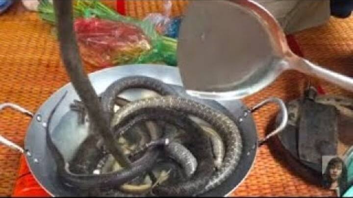 एक शोध में पाया गया है कि सांप का मीट में चिकन के बराबर ही प्रोटीन होता है. लेकिन इसमें सैचुरेटेड फैट बेहद कम होता है और इसका स्वाद भी पकाने के बाद काफी अच्छा आता है. इसलिए इसकी डिमांड भी काफी बढ़ रही है.