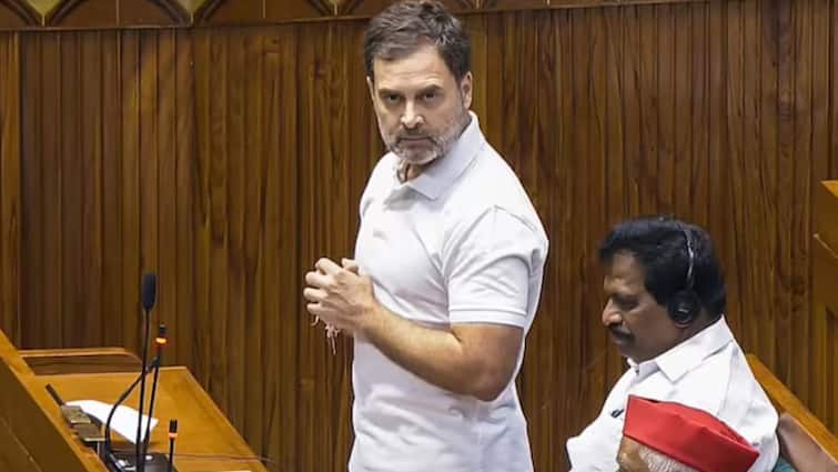 'मेरे दोस्त मुस्कुरा रहे हैं, लेकिन वे डरे हुए हैं...', लोकसभा में सत्तापक्ष की तरफ इशारा कर बोले राहुल गांधी
