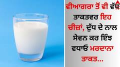 Masculine Energy: ਵੀਆਗਰਾ ਤੋਂ ਵੀ ਵੱਧ ਤਾਕਤਵਰ ਇਹ ਚੀਜ਼ਾਂ, ਦੁੱਧ ਦੇ ਨਾਲ ਸੇਵਨ ਕਰ ਇੰਝ ਵਧਾਓ ਮਰਦਾਨਾ ਤਾਕਤ