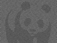 इस सिर घुमा देने वाली तस्वीर में छिपा है एक जानवर, 10 सेकंड में खोज पाएंगे?