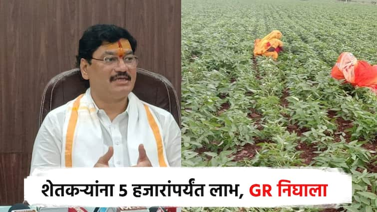 Issue of GR for Farmers rupees 5,000 subsidy per hectare to cotton and soybean farmers, says dhananjay munde खुशखबर! शेतकऱ्यांसाठी GR निघाला; कापूस व सोयाबीन उत्पादक शेतकऱ्यांना प्रति हेक्टरी 5 हजार अनुदान