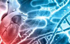 હાર્ટ બ્લોકેજ પહેલા શરીરમાં દેખાય છે આ સંકેત, સામાન્ય સમજી ક્યારેય ન કરો આ ભૂલો