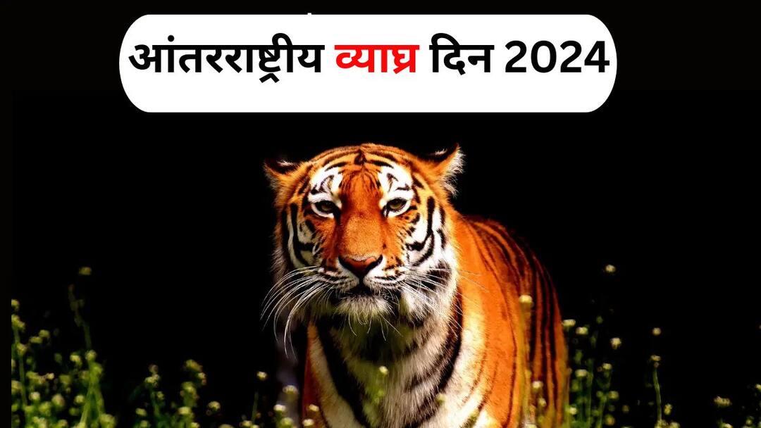 International Tiger Day 2024 lifestyle marathi news On World Tiger Day know how to tell the difference between a tiger leopard cheetah International Tiger Day 2024: 'वाघाची डरकाळी..पर्यावरण संवर्धनाची हाकच जणू!' जागतिक व्याघ्र दिनानिमित्त जाणून घ्या, वाघ...बिबट्या...चित्ता यातील फरक कसा ओळखाल?