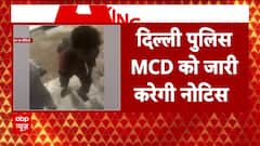 Delhi Police To Issue Notice To MCD In Coaching Accident Case | ABP News