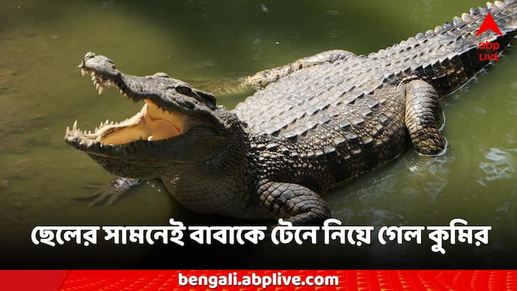 Sundarban News Crocodile dragged father in front of the son to find south Bengal news Crocodile News: মানুষের খোঁজে ওত পেতে, ছেলের সামনেই বাবাকে টেনে নিয়ে গেল কুমির!