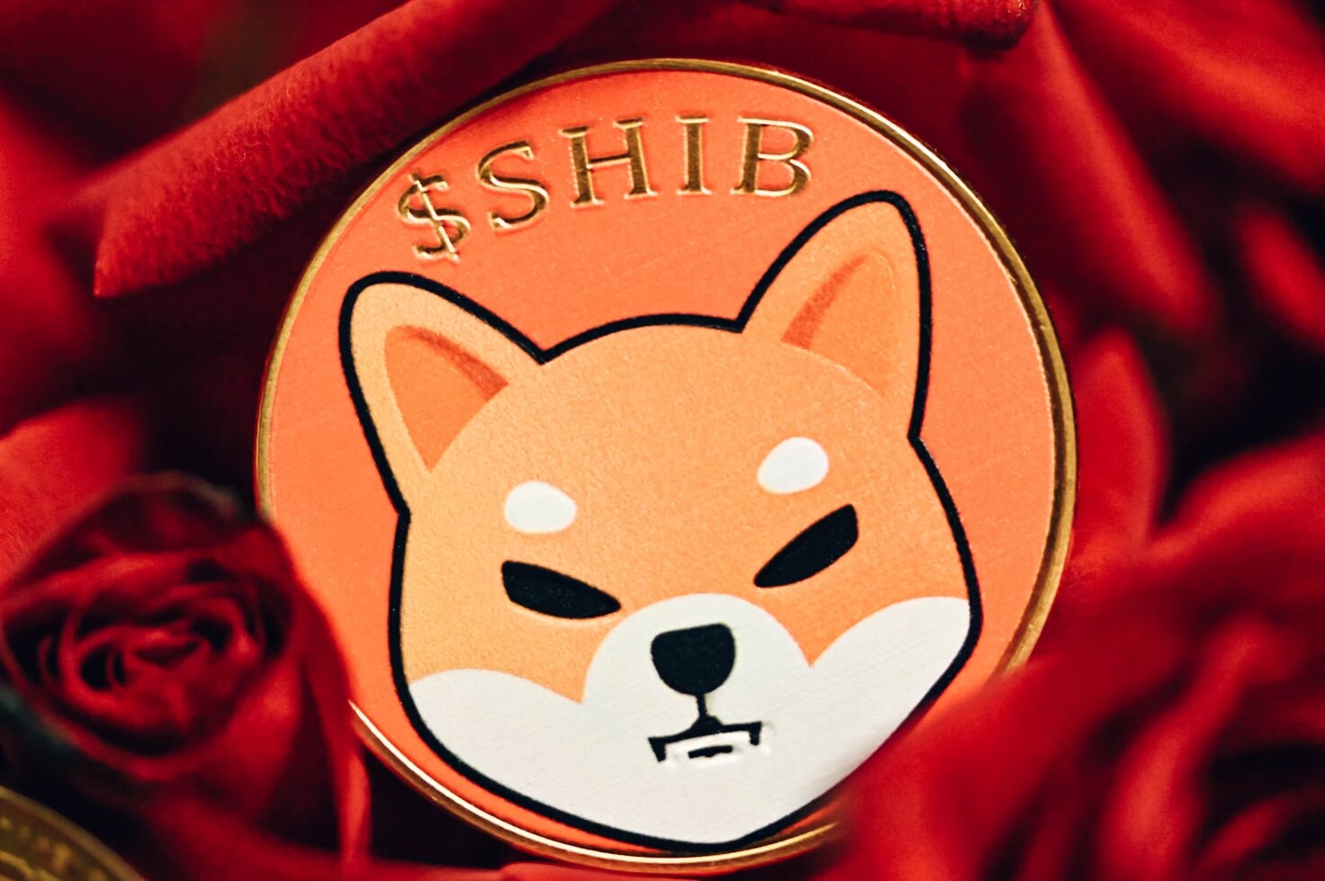 SHIB Investors Shift Gears to Best Meme Coin Presale MOONHOP: Ride the Bunny Rocket as POPCAT Hits the Stratosphere