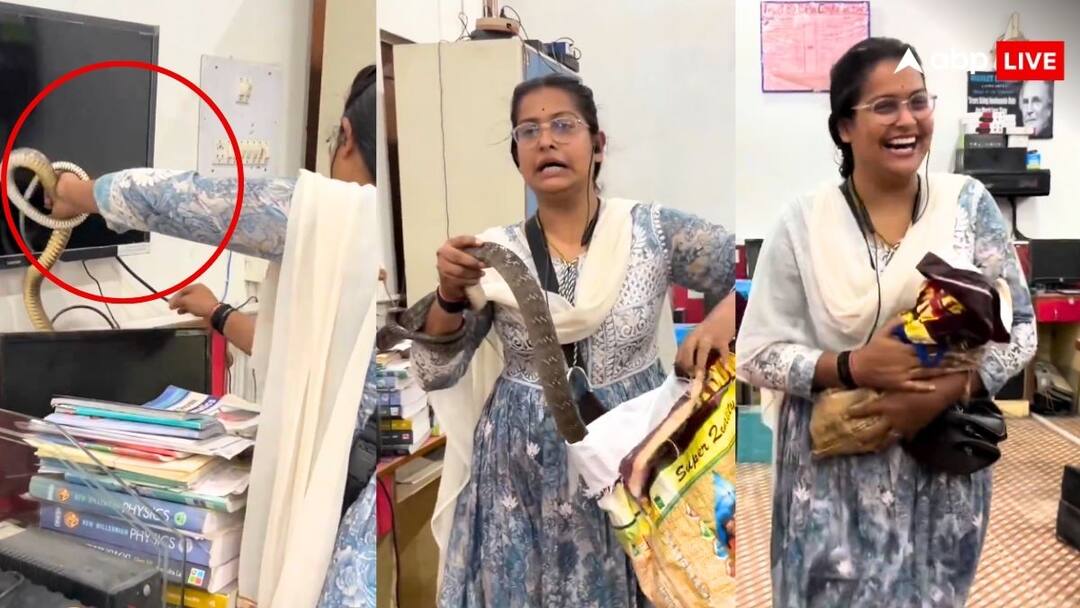 young woman catch deadly snakes within 20 seconds video goes viral on social media Video: ऑफिस में हंसते-हंसते महिला ने 30 सेकंड में पकड़ लिया लंबा सांप, लोग बोले 'सांप के जान पहचान की हैं'