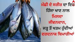 Health Benefits of Fish: ਮੱਛੀ ਦੇ ਸਰੀਰ ਦਾ ਇਹ ਹਿੱਸਾ ਖਾਣ ਨਾਲ ਮਿਲਦਾ ਜੀਵਨਦਾਨ, ਜੜ੍ਹ ਤੋਂ ਖਤਮ ਹੁੰਦੀਆਂ ਦਰਦਨਾਕ ਬਿਮਾਰੀਆਂ