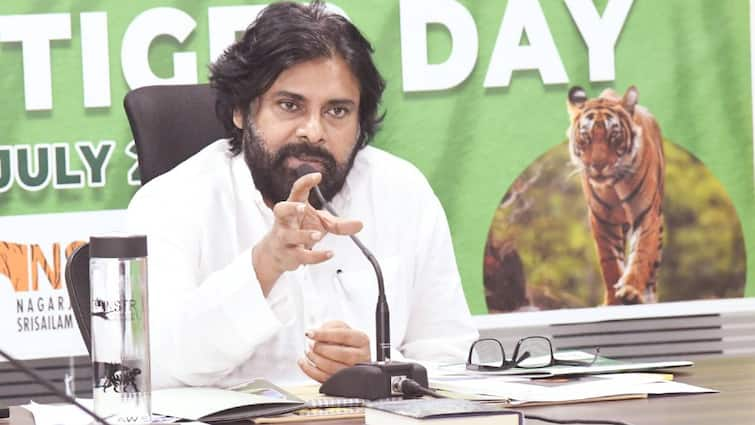 increase the number of tigers prepare conservation plans ap deputy cm pawan kalyan Pawan Kalyan: పులుల సంఖ్య, అడవులపై ఫోకస్ పెట్టిన ఏపీ డిప్యూటీ సీఎం పవన్ కళ్యాణ్