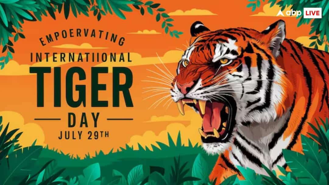 International Tiger Day 2024: बाघों के लिए जन्नत बनता जा रहा है भारत, पिछले 20 सालों में इतनी बढ़ गई संख्या International Tiger Day 2024 number of tigers in the country increased know last 20 years data and all details International Tiger Day 2024: बाघों के लिए जन्नत बनता जा रहा है भारत, पिछले 20 सालों में इतनी बढ़ गई संख्या