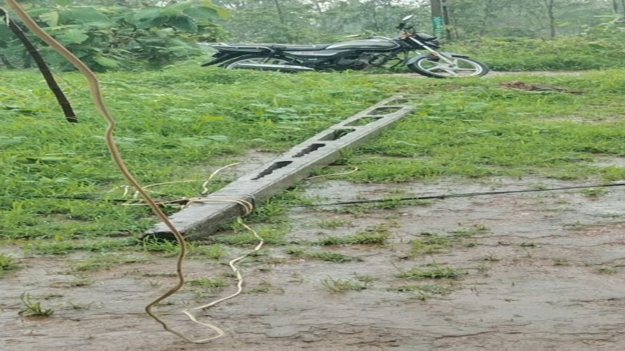 Mahisagar Rain: મહીસાગર જિલ્લામાં 15 વીજપોલ ધરાશાયી, લુણાવાડામાં 7 ઇંચ વરસાદ   