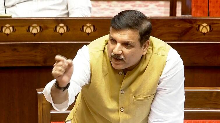 AAP MP Sanjay Singh targetted center and BJP said Delhi lg vinai saxena tied my hands and legs Sanjay Singh: संसद में भड़के संजय सिंह, 'पैर-हाथ बांध स्विमिंग पुल में फेंक दिया और कहते हो...'