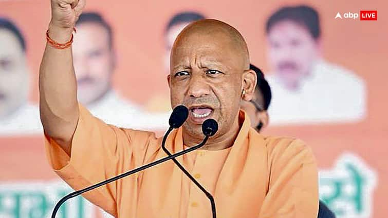 Uttar Pradesh Politics Neither the government nor the organization is big only Yogi Adityanath is useful ann न सरकार बड़ा न संगठन... यूपी में तो सिर्फ योगी ही हैं उपयोगी!