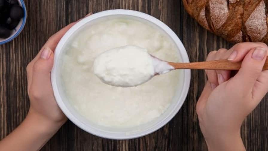 Avoiding Yogurt During Periods Is Really A Must, Know What Experts Say Myth & facts :  પિરિયડ્સ દરમિયાન  ખરેખર દહીંનું સેવન અવોઇડ કરવું હિતાવહ? જાણો શું કહે છે એક્સપર્ટ