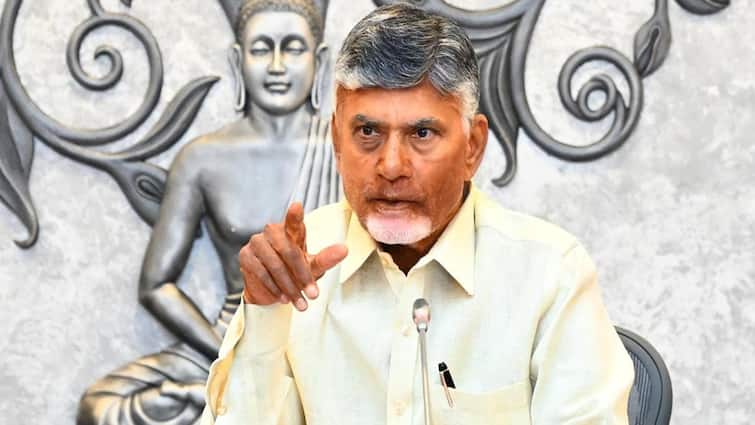 Chandrababu Naidu takes key decision over issuing plots for new houses to beneficiaries AP News: పేదలకు ఇళ్ల స్థలాలపై చంద్రబాబు గుడ్ న్యూస్! ఎంత స్థలం ఇవ్వాలో కీలక నిర్ణయం