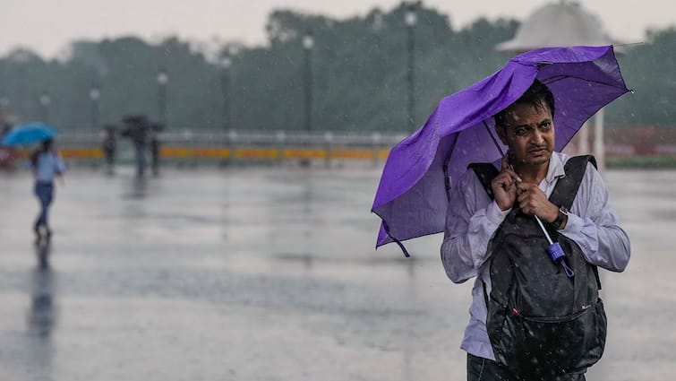 Weather in Telangana Andhra Pradesh Hyderabad on 30 July 2024 Rains updates latest news here Weather Latest Update: తెలంగాణలో వచ్చే 2 రోజులు వర్షాలే - ఏపీలో ఈదురు గాలులు: ఐఎండీ