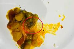 અમદાવાદમાં પુરોહિત રેસ્ટોરન્ટના ભોજનમાંથી ઈયળ નીકળી, AMC એ એકમ સીલ કર્યું