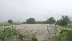 Mehsana Rain: મહેસાણા શહેર અને જિલ્લામાં જામ્યો વરસાદી માહોલ 