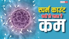 किस वजह से कम होता है स्पर्म काउंट? क्या इसका नहीं है कोई इलाज