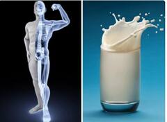 Boost Energy: ਇਨ੍ਹਾਂ 4 ਚੀਜ਼ਾਂ 'ਚ ਦੁੱਧ ਨਾਲੋਂ ਵੱਧ ਕੈਲਸ਼ੀਅਮ, ਬੁੱਢੀਆਂ ਹੱਡੀਆਂ 'ਚ ਵੀ ਆ ਜਾਏਗੀ ਤਾਕਤ