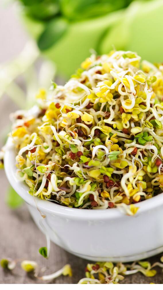 ਕਿਹੜੇ ਲੋਕਾਂ ਨੂੰ ਨਹੀਂ ਖਾਣੇ ਚਾਹੀਦੇ ਸਪ੍ਰਾਊਟਸ?