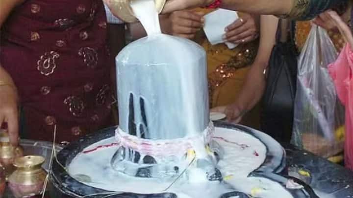 এই অমাবস্যা তিথিতে শিবলিঙ্গে বেলপাতা নিবেদন করা অত্যন্ত শুভ বলে মানা হয়। তারপর ১০৮ বার মহা মৃত্যুঞ্জয় মন্ত্রের জপ করে জলাভিষেক করুন। এতে শিব-শক্তির আশীর্বাদ পাওয়ার সঙ্গে সঙ্গে জীবনে সৌভাগ্য আসে।(ছবি সৌজন্য-পিটিআই)