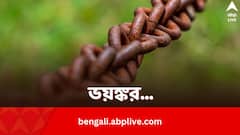 বৃষ্টি মাথায় নিয়েই জঙ্গলে শিকলবন্দি অবস্থায় পড়ে, বিদেশিনীর এমন অবস্থার নেপথ্যে কি স্বামী?