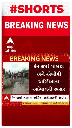 Patan News: abp અસ્મિતાના અહેવાલની ધારદાર અસર, અહેવાલ પ્રસારિત કર્યા બાદ સિંચાઈ વિભાગ જાગ્યુ સફાળું