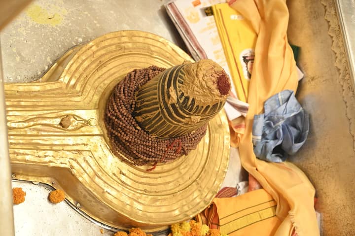 इस दिन तकरीबन 3 लाख शिव भक्त भगवान काशी विश्वनाथ मंदिर में दर्शन करने के लिए पहुंचे.
