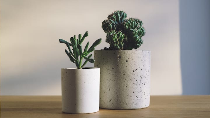 Incorporate Nature’s Bounty: Enhance your garden table decor by incorporating elements from the surrounding environment. Fresh flowers, potted plants, and even branches can bring a touch of natural beauty to your table. Arrange a mix of blooms in a vintage silver vase or scatter greenery along the center of the table to create a lush, inviting atmosphere. This not only adds color and texture but also helps blend your tablescape seamlessly with the garden setting. (Image Source: Canva)