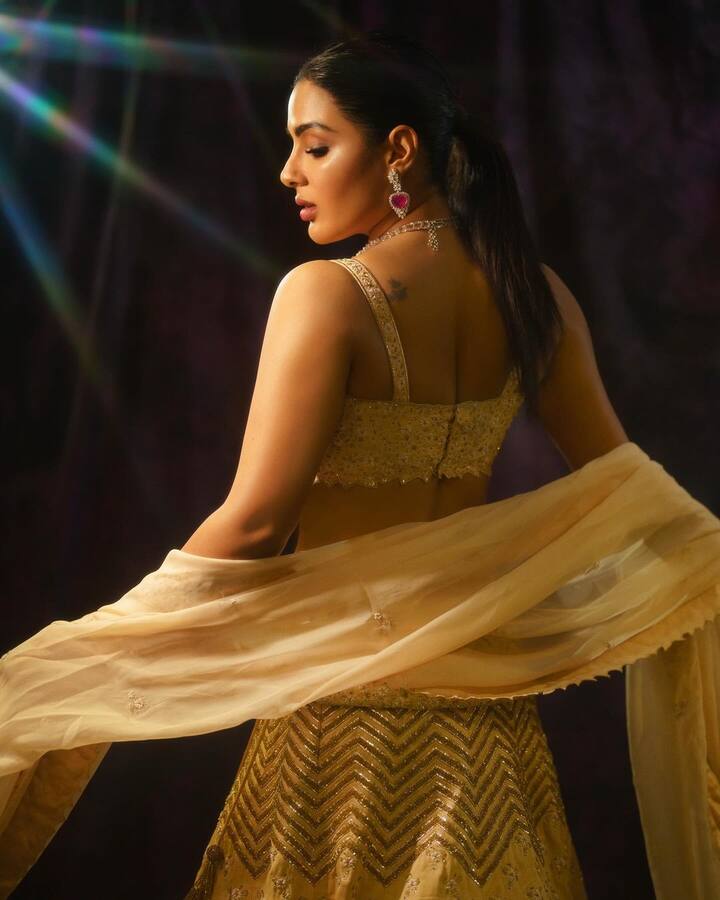 సంయుక్తు తెలుగులో పలు సినిమాలు చేసింది. అందంతోనే కాకుండా నటిగా కూడా మంచి ప్రతిభతో సక్సెస్ అందుకుంటుంది ఈ బ్యూటీ.(Images Source : Instagram/Samyuktha)