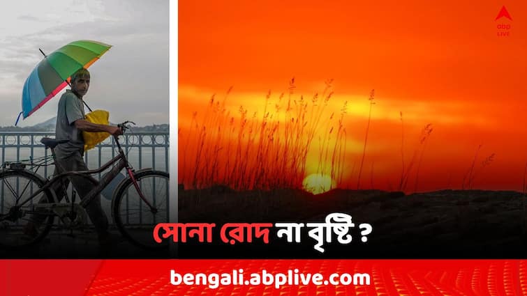 West Bengal Weather Update High humidity Thunder storm forecast  in Kolkata and Yellow alert in 4 district in South Bengal Weather Update: সোনা রোদ নাকি ফের বৃষ্টি আপনার জেলায় ? আগামীকাল কেমন থাকবে আবহাওয়া ?