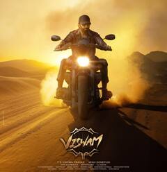 Viswam Movie: గోపీచంద్ 'విశ్వం' నుంచి మరో వీడియో రెడీ - ఎప్పుడు రిలీజ్ చేస్తున్నారంటే?