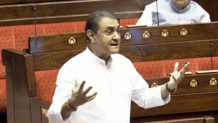 Praful Patel NCP MP On Congress Rahul Gandhi Statement Chakravyuh Remark राहुल गांधी के 'चक्रव्यूह' वाले बयान पर प्रफुल्ल पटेल का तंज? 'यहां के काम की वजह से वो...'