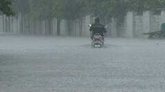 Patan Rain: સતત બીજા દિવસે પાટણ જિલ્લામાં ભારે પવન સાથે ધોધમાર વરસાદ