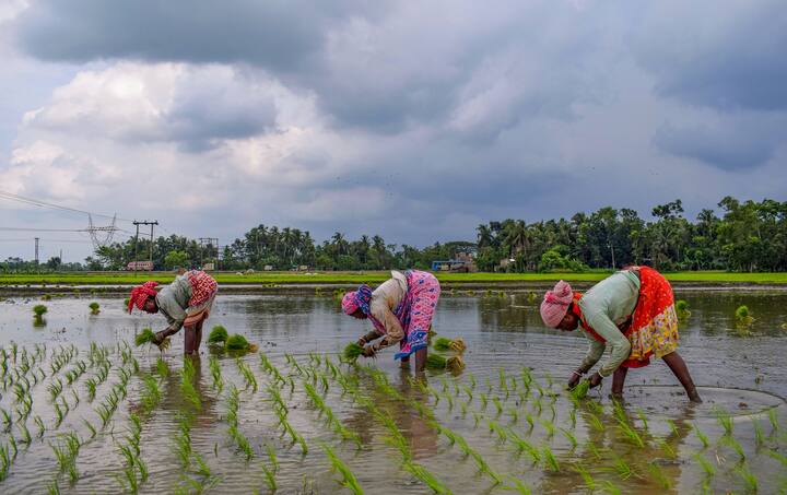 মৌসুমী অক্ষরেখার অনুকূল অবস্থানের জন্য প্রচুর জলীয় বাষ্প ঢুকছে পশ্চিমবঙ্গে। এর প্রভাবে পশ্চিমবঙ্গের সমস্ত জেলায় আগামী সাত দিন বৃষ্টির সম্ভাবনা। জুন মাসে বৃষ্টির ঘাটতি ছিল প্রবল। আর জুলাইয়ের শুরুতেও তেমন বৃষ্টি হয়নি।