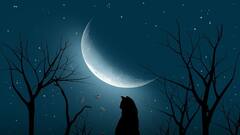 Sawan Amavasya: শ্রাবণ অমাবস্যায় পূর্বপুরুষদের আশীর্বাদ পেতে চান? করুন এই কাজ