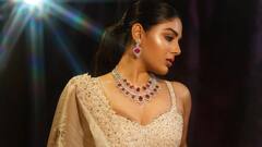 Samyuktha Menon : ప్రిన్సెన్​ లుక్​లో సంయుక్త మీనన్.. ఒక్కో ఫోటోలో సమంతలా కనిపిస్తోందంటున్న ఫ్యాన్స్