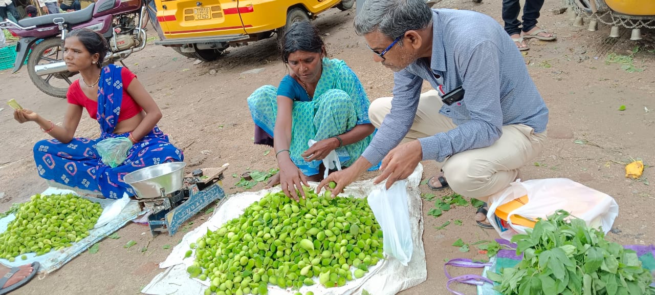 Adilabad News: ఆదిలాబాద్‌లో బోడ కాకరకి భలే డిమాండ్, దీంతో ఆరోగ్యానికి బోలెడు లాభాలు