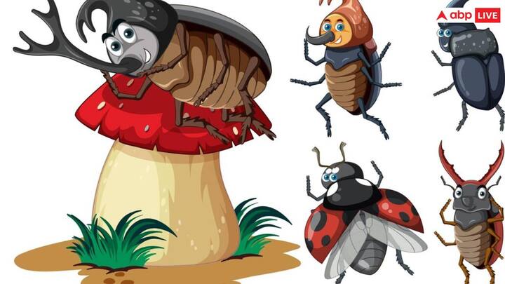 प्रिंसटन विश्वविद्यालय में NIH के एक रिसर्च टीम ने यह पता लगाने की कोशिश की मच्छर इंसान और जानवर में गंध के जरिए कैसे पता लगाती है.