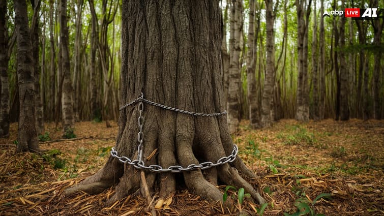 Chhattisgarh news Ambikapur Tree felling in Hasdeo region resumed Chhattisgarh Bachao Andolan Chhattisgarh: Tree Felling For Coal Mine In Biodiversity-Rich Area Sparks Protests, Heavy Police Deployment