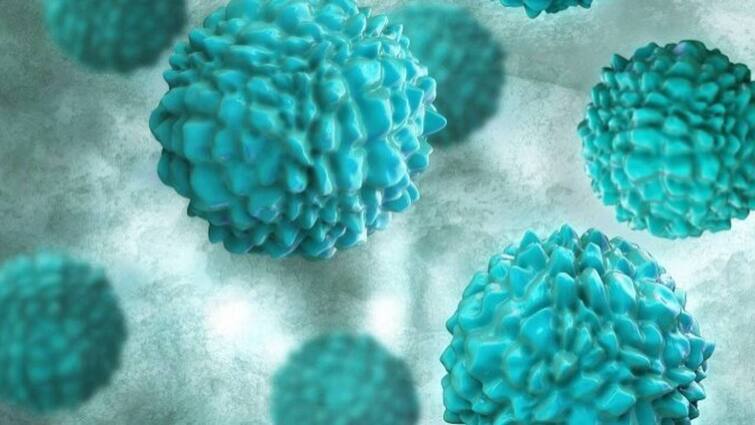 norovirus cases increasing rapidly in hyderabad Noro Virus : హైదరాబాద్‌ను వణికిస్తోన్న నొరో వైరస్,  డీపీహెచ్ అధికారుల కీలక ప్రకటన