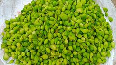 ఆదిలాబాద్‌లో బోడ కాకరకి భలే డిమాండ్, దీంతో ఆరోగ్యానికి బోలెడు లాభాలు