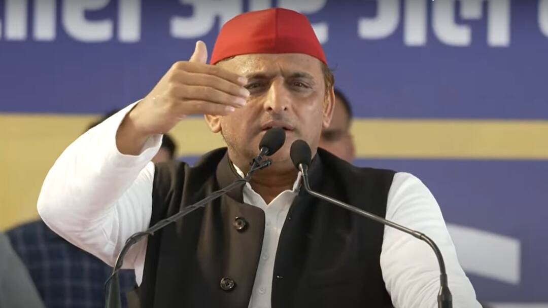 सीएम केजरीवाल के समर्थन में अखिलेश यादव बोले, 'BJP का कौन सा संविधान है जो...', आजम खान का किया जिक्र Akhilesh Yadav Attacks BJP Over Delhi CM Arvind Kejriwal in AAP Rally सीएम केजरीवाल के समर्थन में अखिलेश यादव बोले, 'BJP का कौन सा संविधान है जो...', आजम खान का किया जिक्र