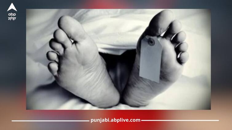 Punjab police assistant police officer died in a road accident, truck driver escape Punjab News: ਸੜਕ ਹਾਦਸੇ ਦੌਰਾਨ ਪੰਜਾਬ ਪੁਲਿਸ ਦੇ ਸਹਾਇਕ ਥਾਣੇਦਾਰ ਦੀ ਹੋਈ ਮੌਤ, ਟਰੱਕ ਡਰਾਈਵਰ ਫਰਾਰ