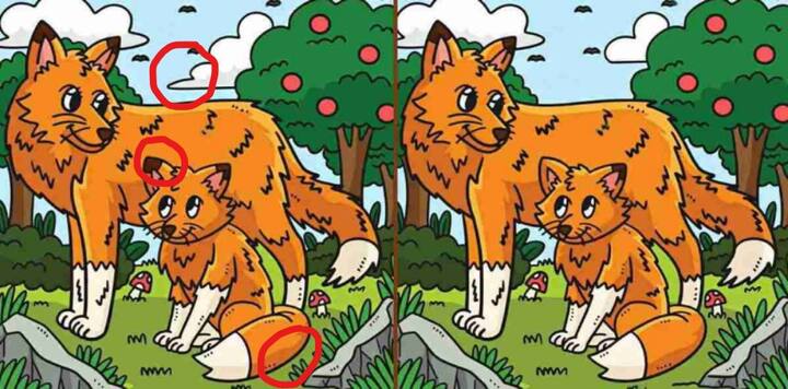 इस तस्वीर को सॉल्व करने में कोई रॉकेट साइंस नहीं है.लेकिन आप अगर इसे चालाकी से नहीं देखते हैं तो यह आपको चक्कर दे सकता है. अब भी अगर आप नहीं खोज पाए हैं तो हम आपको इसका उत्तर देने जा रहे हैं.