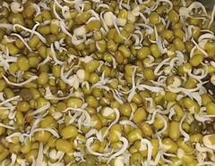 Health Tips : இந்த உணவுகளை தினசரி சாப்பிடுங்க.. பல பிரச்சினை பறந்துவிடும்!