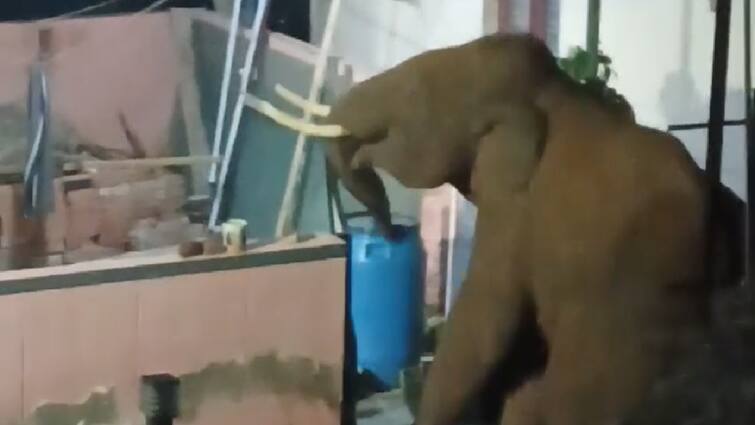 A wild elephant entered the house and broke through the wall coimbatore Watch Video : வீட்டிற்குள் நுழைந்து சுவரை உடைத்து வெளியேறிய காட்டு யானை ; கோவையில் மக்கள் அச்சம்
